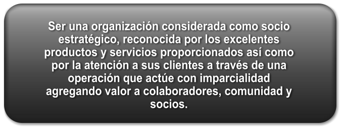 Ser una organización considerada como socio estratégico, reconocida por los excelentes productos y servicios proporcionados así como por la atención a sus clientes a través de una operación que actúe con imparcialidad agregando valor a colaboradores, comunidad y socios.